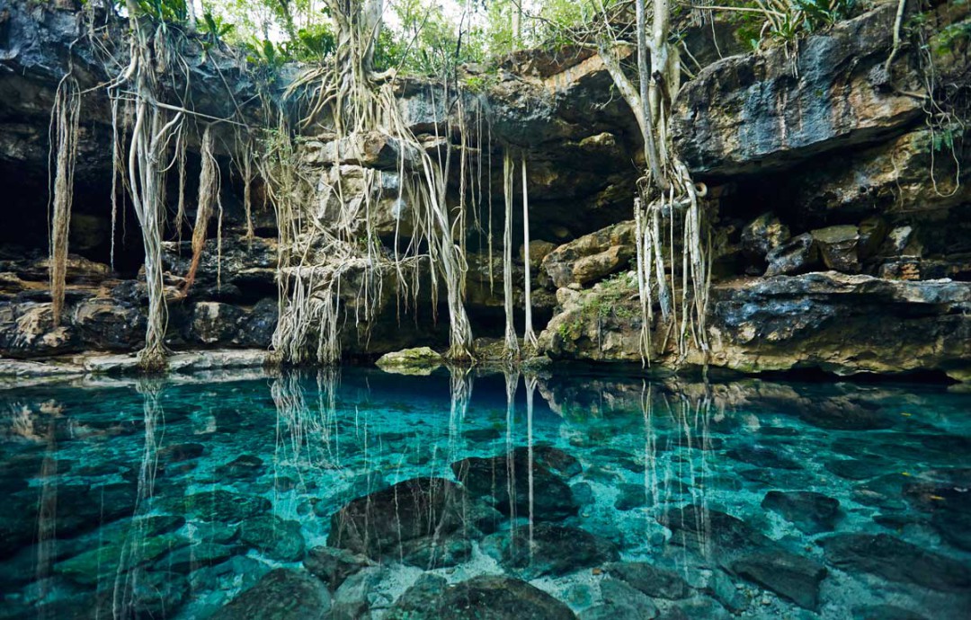 Nos Plus Beaux Cenotes Test S Au Yucatan