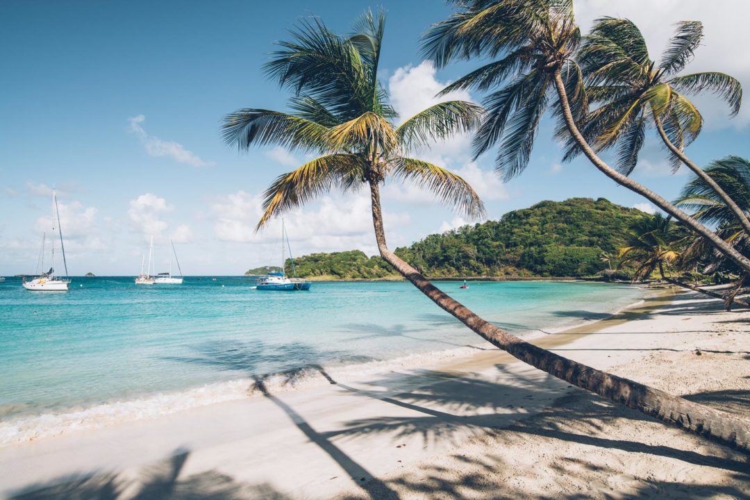 croisiere caraibes catamaran grenadine