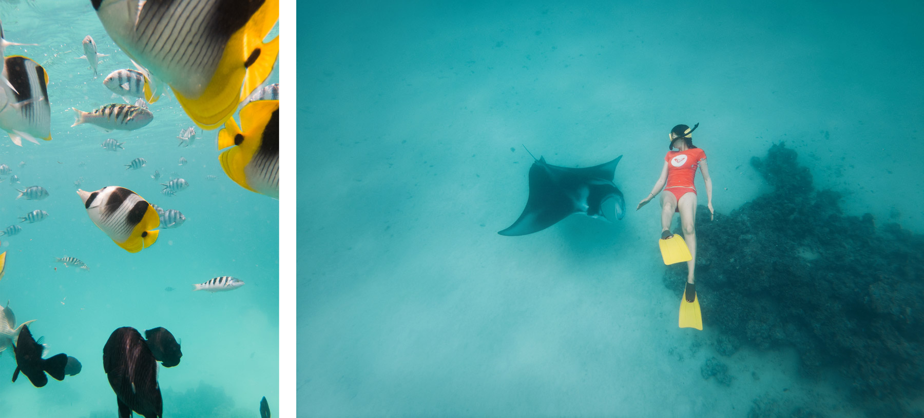 Snorkeling, Polynésie Française