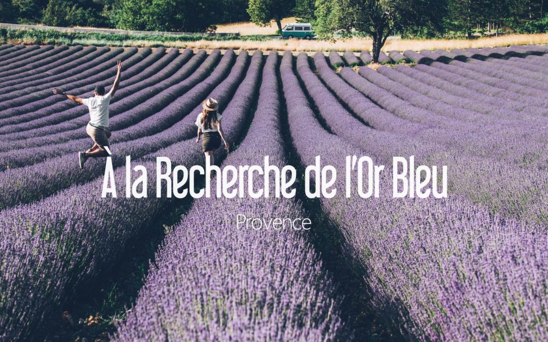 PROVENCE | À LA RECHERCHE DE L’OR BLEU !