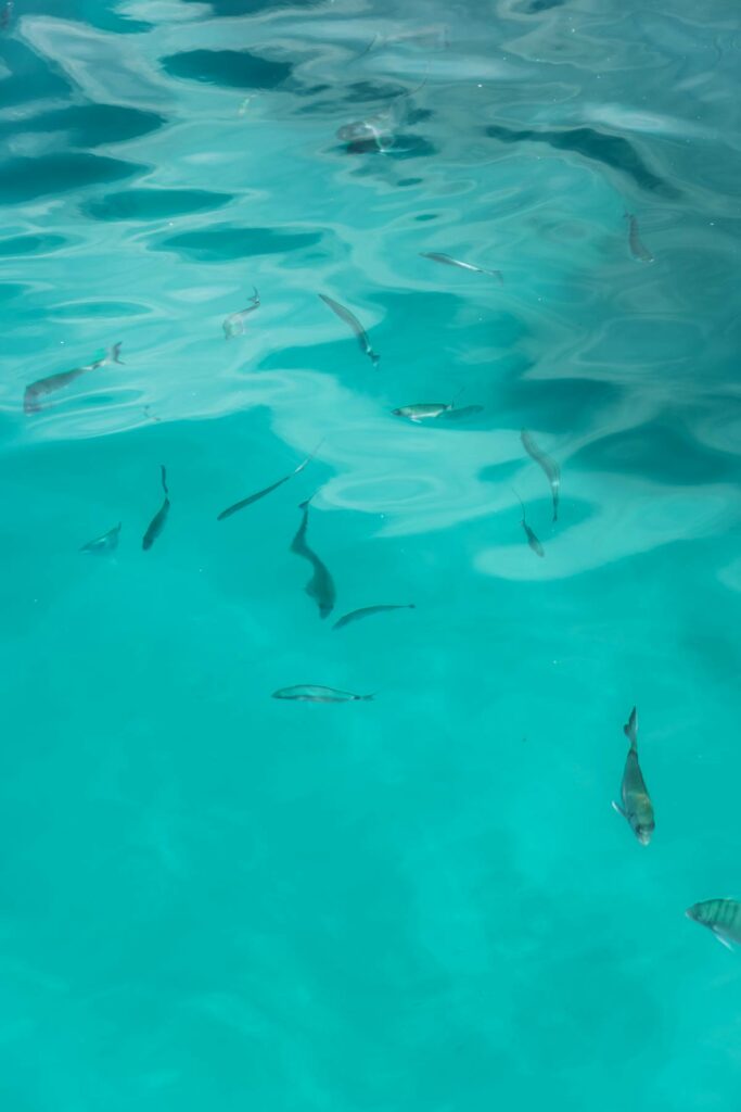 Eau turquoise Méditerranée