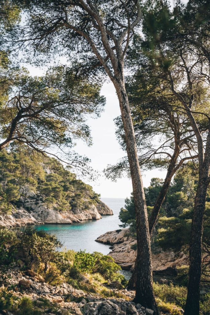 Calanque de Port Pin