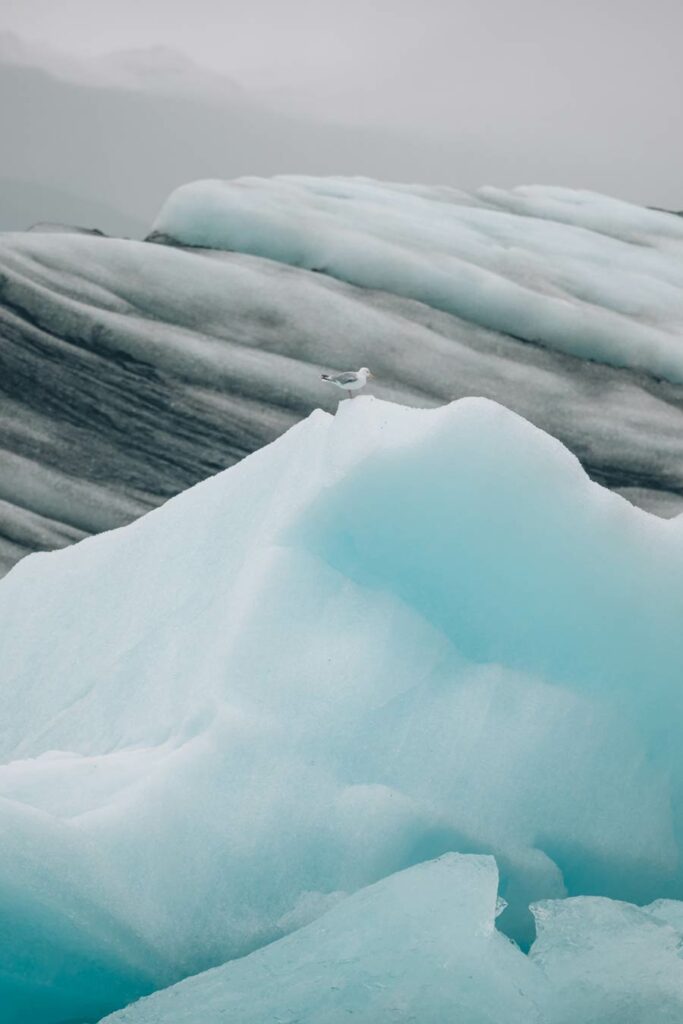 Icebergs Jokulsarlon, Islande