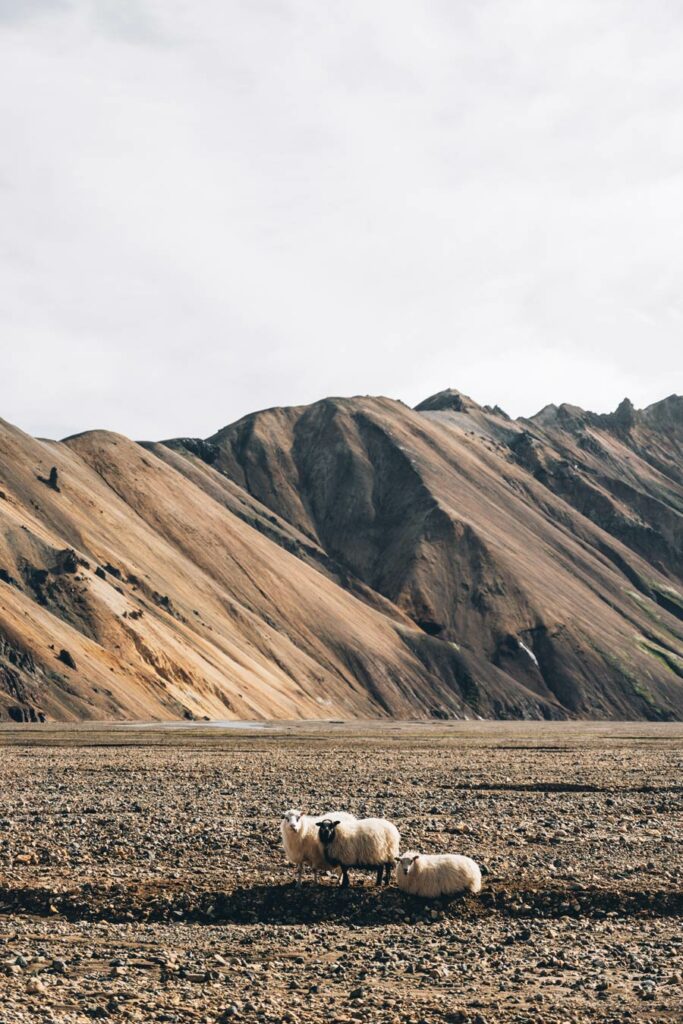 Landmannalaugar, Islande