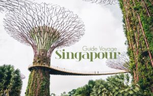 QUE FAIRE À SINGAPOUR? Nos 12 activités incontournables pour visiter la ville